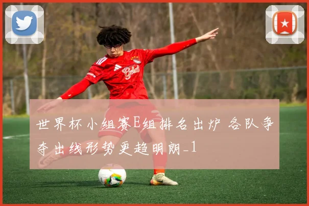 世界杯小组赛E组排名出炉 各队争夺出线形势更趋明朗_1
