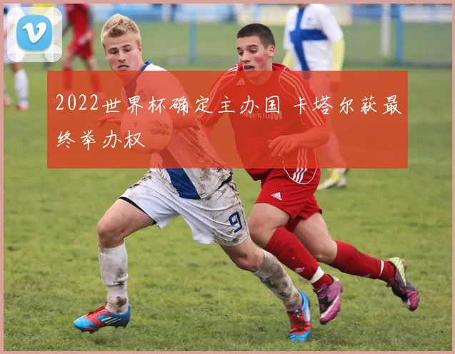 2022世界杯确定主办国 卡塔尔获最终举办权
