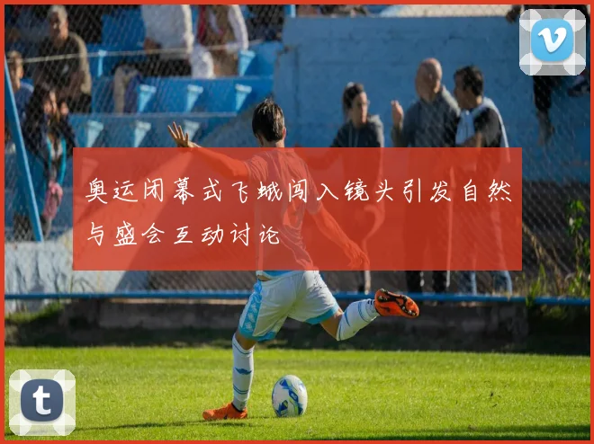 奥运闭幕式飞蛾闯入镜头引发自然与盛会互动讨论