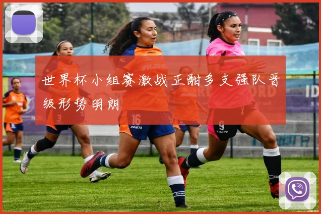 世界杯小组赛激战正酣多支强队晋级形势明朗
