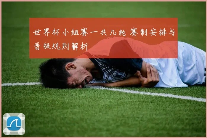 世界杯小组赛一共几轮 赛制安排与晋级规则解析