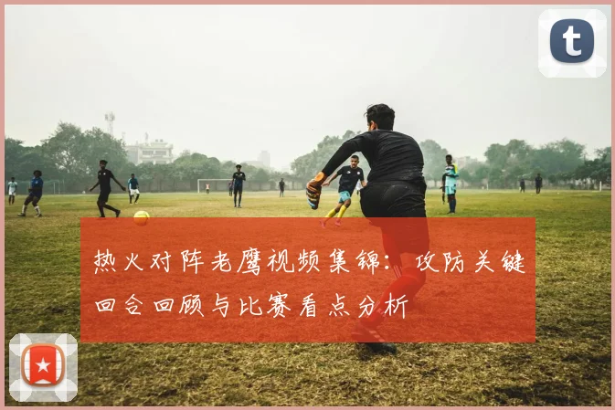 热火对阵老鹰视频集锦：攻防关键回合回顾与比赛看点分析