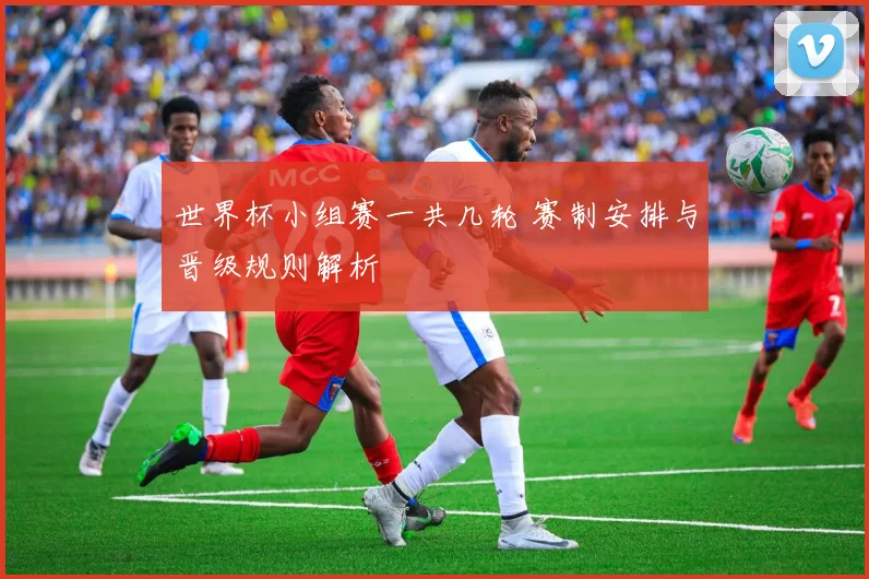 世界杯小组赛一共几轮 赛制安排与晋级规则解析
