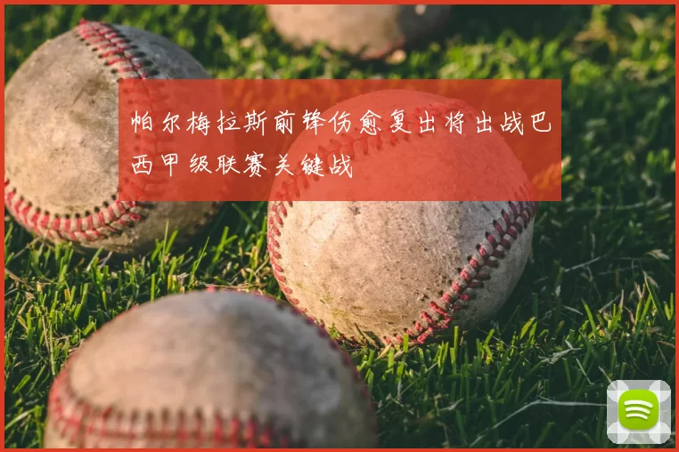 帕尔梅拉斯前锋伤愈复出将出战巴西甲级联赛关键战