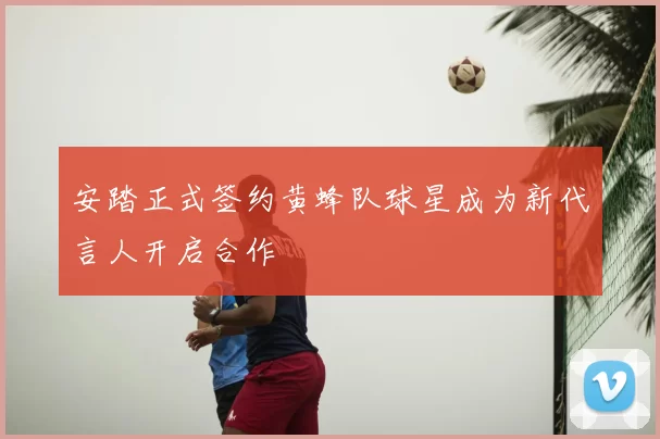 安踏正式签约黄蜂队球星成为新代言人开启合作