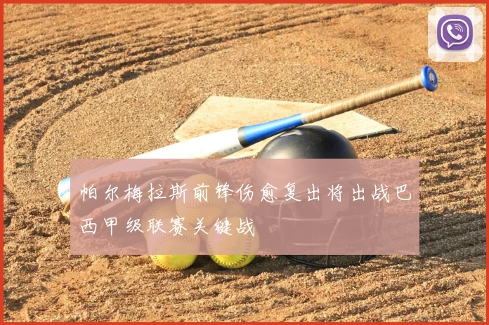 帕尔梅拉斯前锋伤愈复出将出战巴西甲级联赛关键战